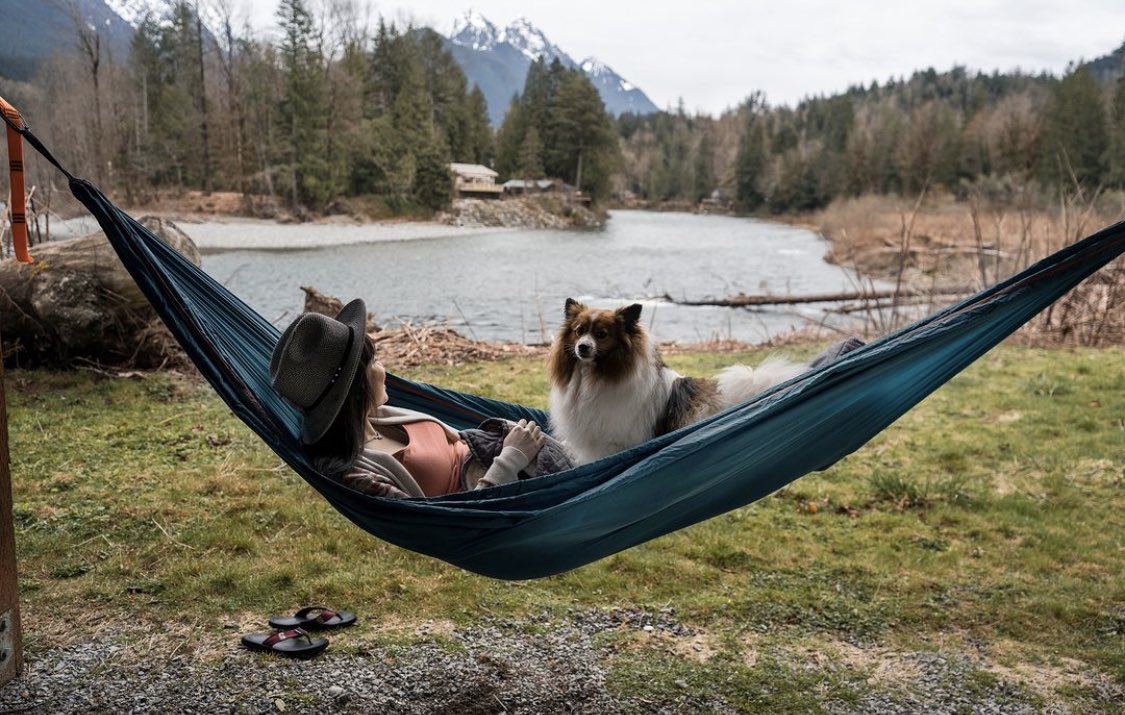 GRAND TRUNK tweet media