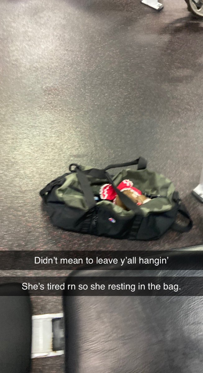 GymWithReimu's tweet image. Reimu at the gym part something something