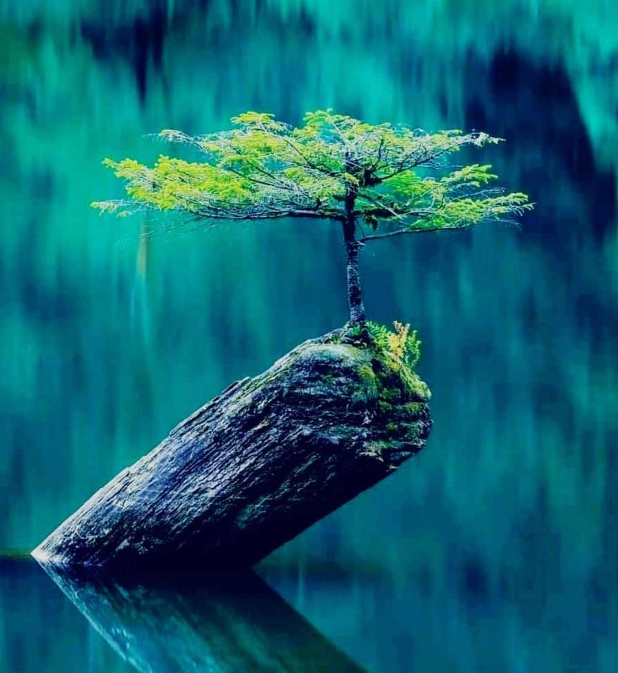 L'adoption de la loi portant sur la politique nationale de réparation en faveur des victimes de violations graves des droits humains par le @CNT_MALI constitue un moment d'espoir pour toutes les victimes qui attendent depuis une décennie maintenant.
<a href="/ASFCanada/">Avocats sans frontières Canada</a>
<a href="/ATJLF_/">Africa Transitional Justice Legacy Fund (ATJLF)</a> 
<a href="/CVJR_MALI/">Commission Vérité, Justice et Réconciliation MALI</a>