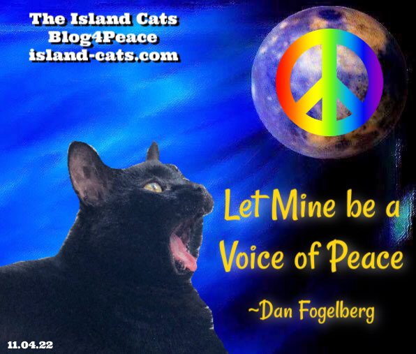 TheIslandCats's tweet image. #Blog4Peace #BlogBlast4Peace #PeaceBlogger #NoFreedomNoPeace