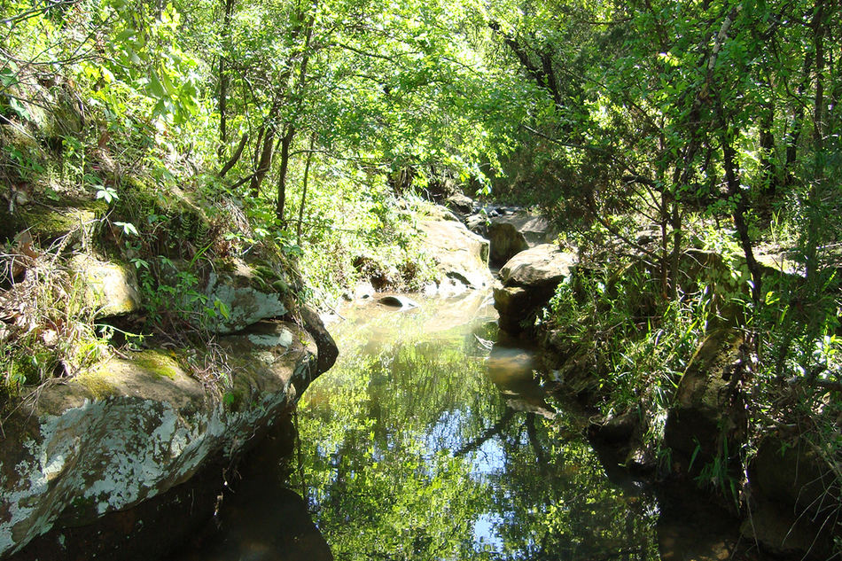 ArlingtonParks's tweet photo. Our #ParkOfTheWeek is Crystal Canyon Natural Area! This geology lover's paradise has a diverse geologic profile - marine shales, siltstone, mudstone, gypsum layers & fine grain sandstone have been found here. A half-mile trail runs through the preserve for a lovely nature hike! https://t.co/5w3RJIQcdo