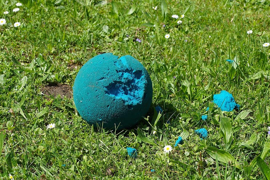 Fancy Frenchie tweet media