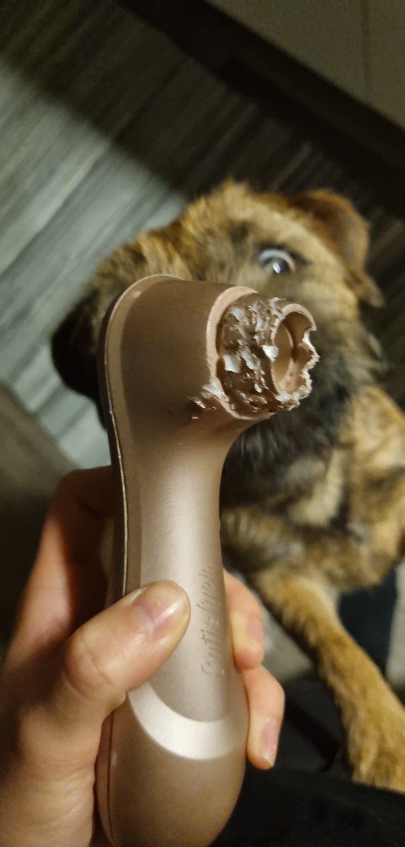cyanidkvinnan's tweet photo. En som inte får sitt fredagstuggben iallafall https://t.co/nJ7ABH5wfD