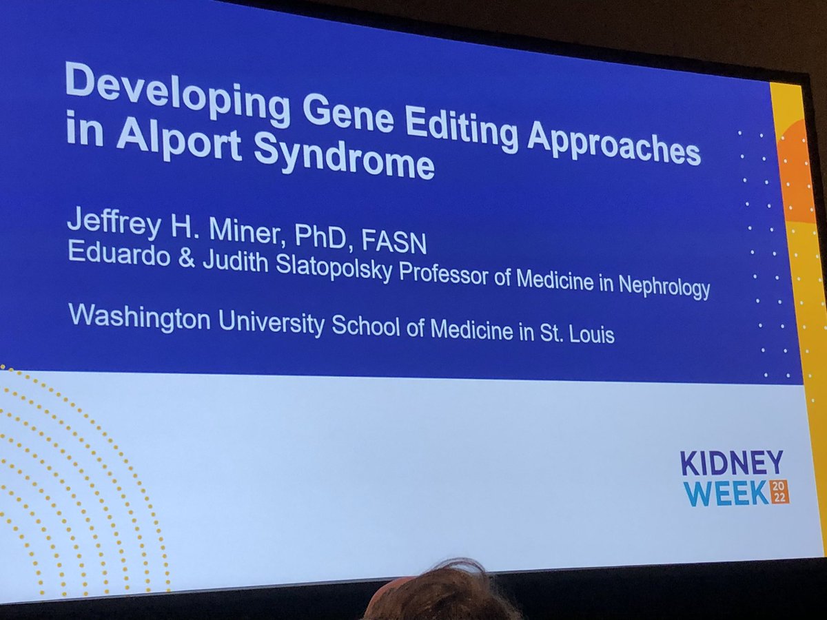 rheault_m's tweet photo. Next speaker is @JeffMinerPhD. #kidneywk Starts with images from his Alport mouse model “that was made before some of you were probably born”. 🐁 https://t.co/pFbjjSirOt