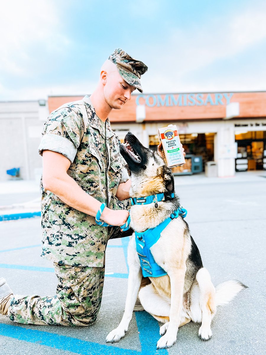 BrutusBroth's tweet photo. We are beyond excited to announce that we’re officially on the shelves at Military Commissaries across the US! 🇺🇸 Excited for #Military Families &amp; pups to try us out 🐾  @YourCommissary https://t.co/iUTICGqfHw
