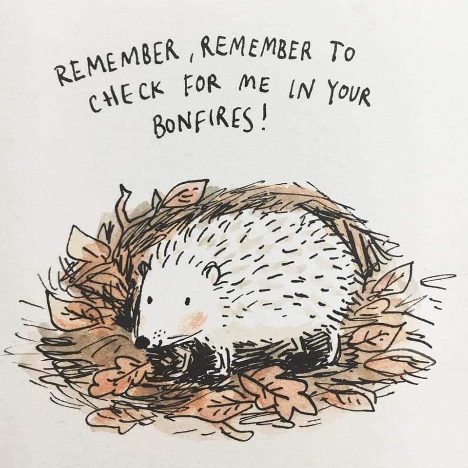 👇👇👇👇👇👇👇👇👇👇👇