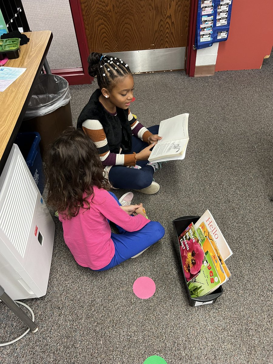 Reynolds Zoeteman tweet media