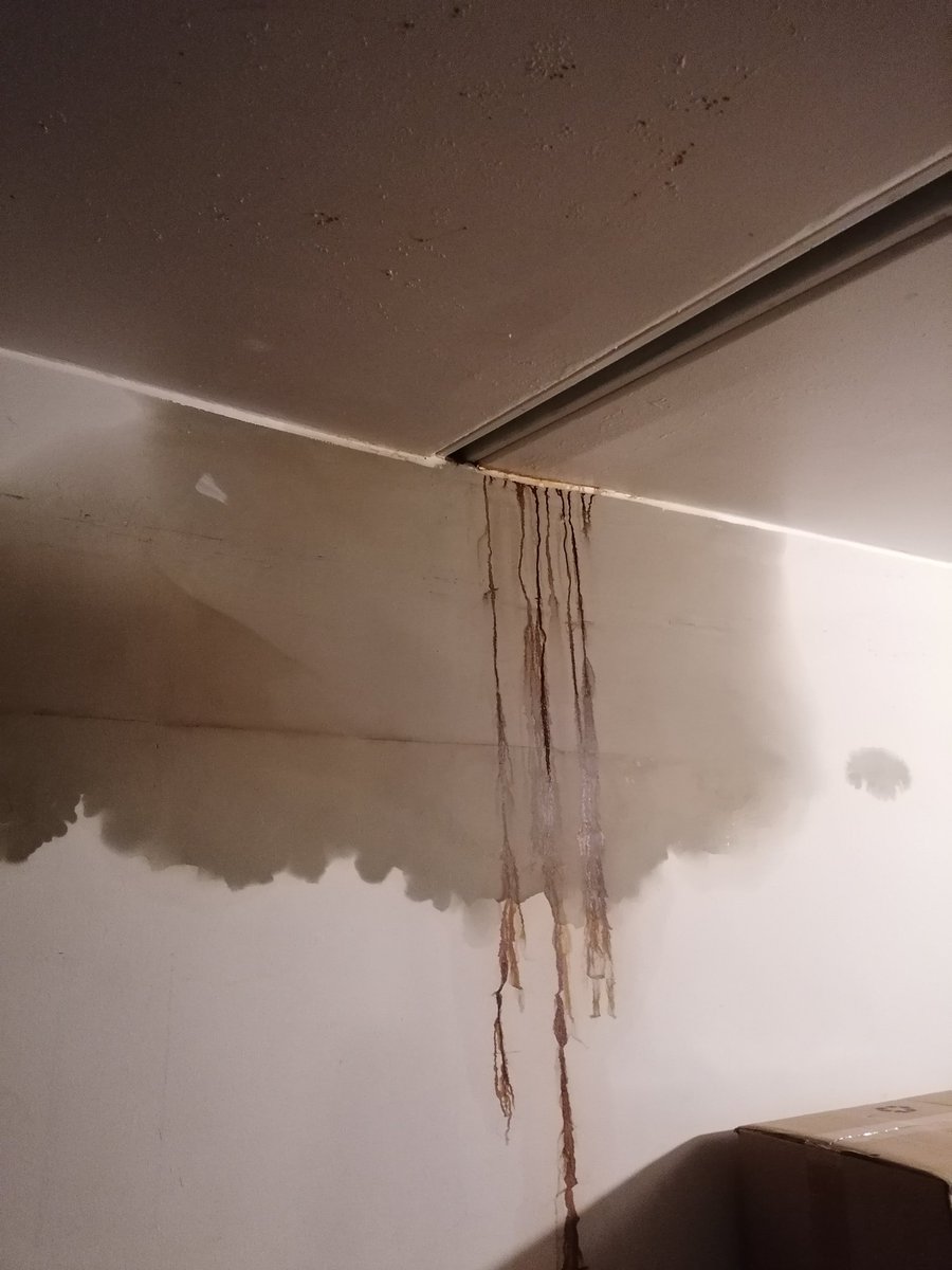 dolcentury's tweet photo. chat, my walls are seeping ichor https://t.co/BZIcrXgoMU