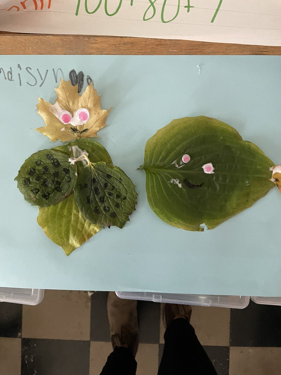 parkdale_hwdsb's tweet photo. Students in Ms. Cianciolo’s 1/2 and Ms. Smith’s 2/3 class created some amazing STEM creations after reading Leaf Man by Lois Ehlert. https://t.co/fsD0WY7mGX