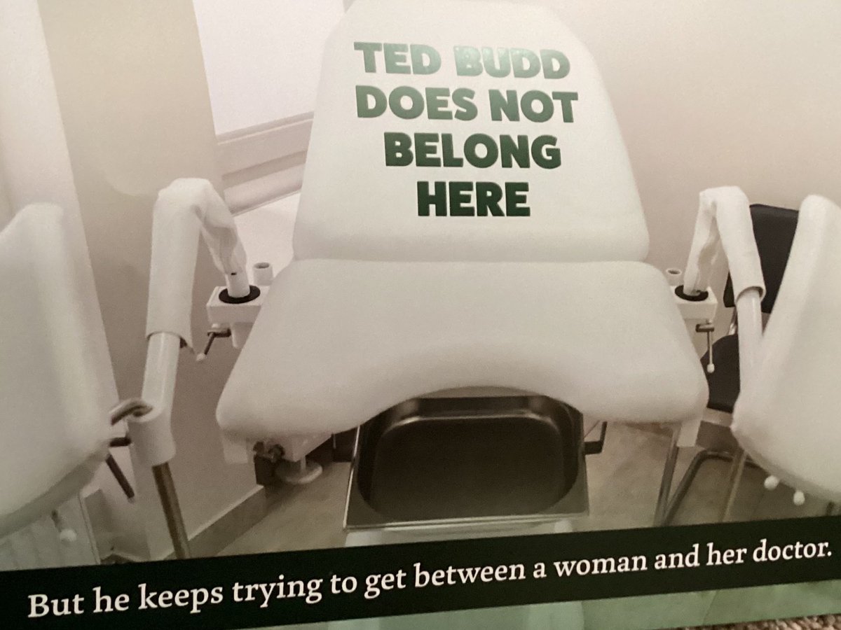 saabelieves's tweet photo. @CheriBeasleyNC Ted Budd opposes abortion even if the life of a woman or child of a heinous crime such as rape or incest is on the line. Do not support Ted Budd who was endorsed by Trump! Trump is under criminal investigation! Maga is dangerous! https://t.co/cWmCzXoi3V