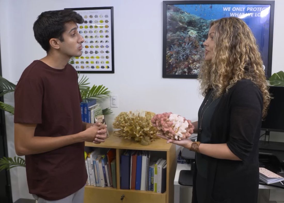 Watch <a href="/CBSUnstoppable/">Mission Unstoppable</a> with <a href="/MirandaCosgrove/">Miranda Cosgrove</a> this weekend to see how <a href="/ErikaWoolseyPhD/">Dr. Erika Woolsey</a> uses immersive technology to bring coral reefs to life and inspire #oceanempathy 🪸🌊