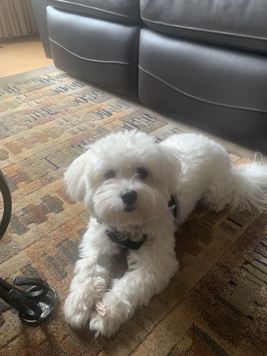 To 2Ls preparing for TO firm summer interviews next week…deep breath.  

Prep. 

Enjoy. 

And remember everything works out the way it needs to! 

Happy weekend. Hope this pic gives you some comfort and joy!

#lawstudents #summerjob