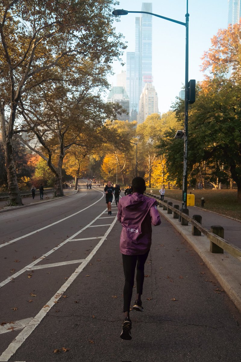 dsmfrunningteam's tweet photo. Morning runs in Central Park.😍 #NNRunningTeam #tcsnewyorkmarathon https://t.co/rasUwmCZjK