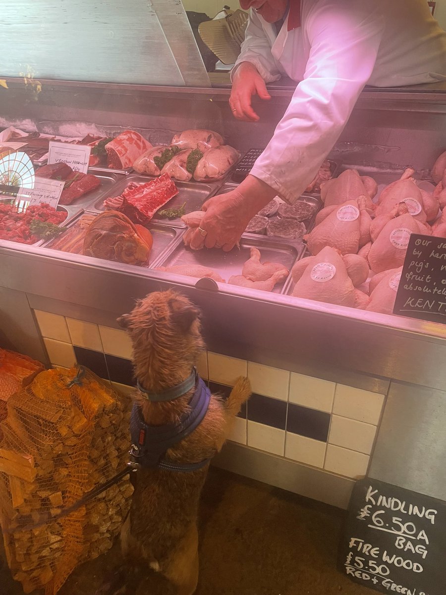 Twuenty chickins, sevun millonty sosisges and I think a nice bit of beef for my pals at #BTPosse also plees Butcher.