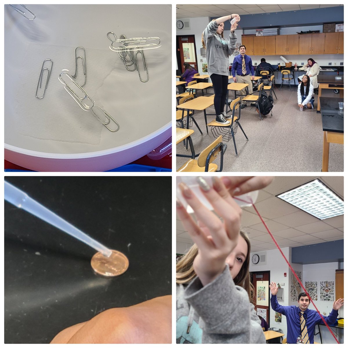 Biology students enjoyed spending the last few days before break experimenting with the properties of water. They learned about cohesion, adhesion, surface tension, and capillary action. #barnegatinspires #onebarnegat #bengalpride #science #scienceiscool