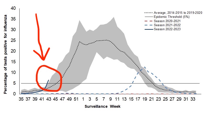 Isaac Bogoch tweet media