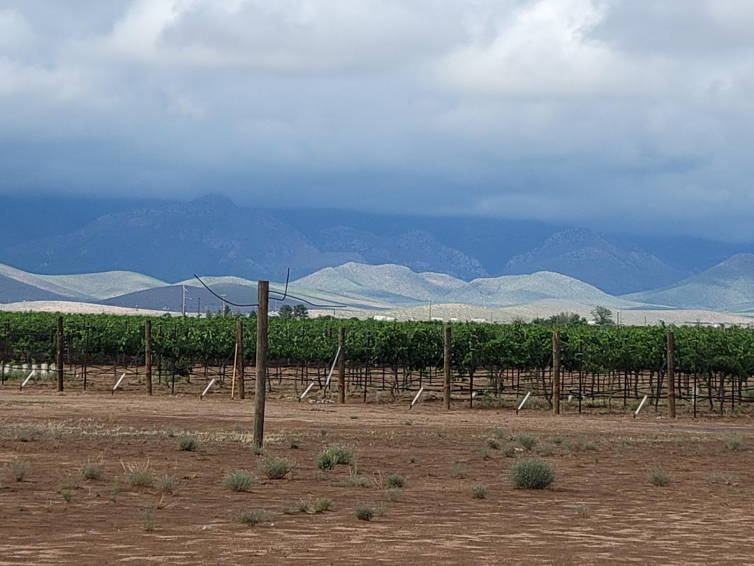 thecarpetravel's tweet photo. Wine Country Road Trip - ARIZONA!  @darlasalem has shared this one-week itinerary with Carpe Travel readers that will surely arouse your senses and give you a taste of the Arizona wine country. https://t.co/5Iptd4l5Qh  
#wine #azwine #travel #roadtrip https://t.co/y41tY5Nt2x