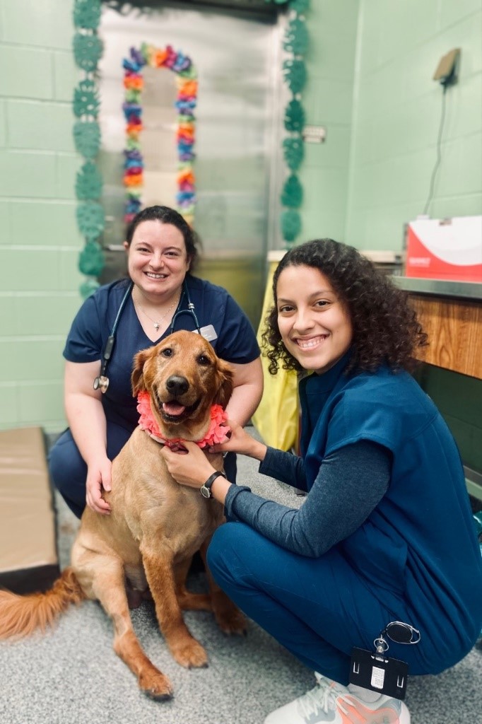 Tweet by Purdue Veterinary Medicine