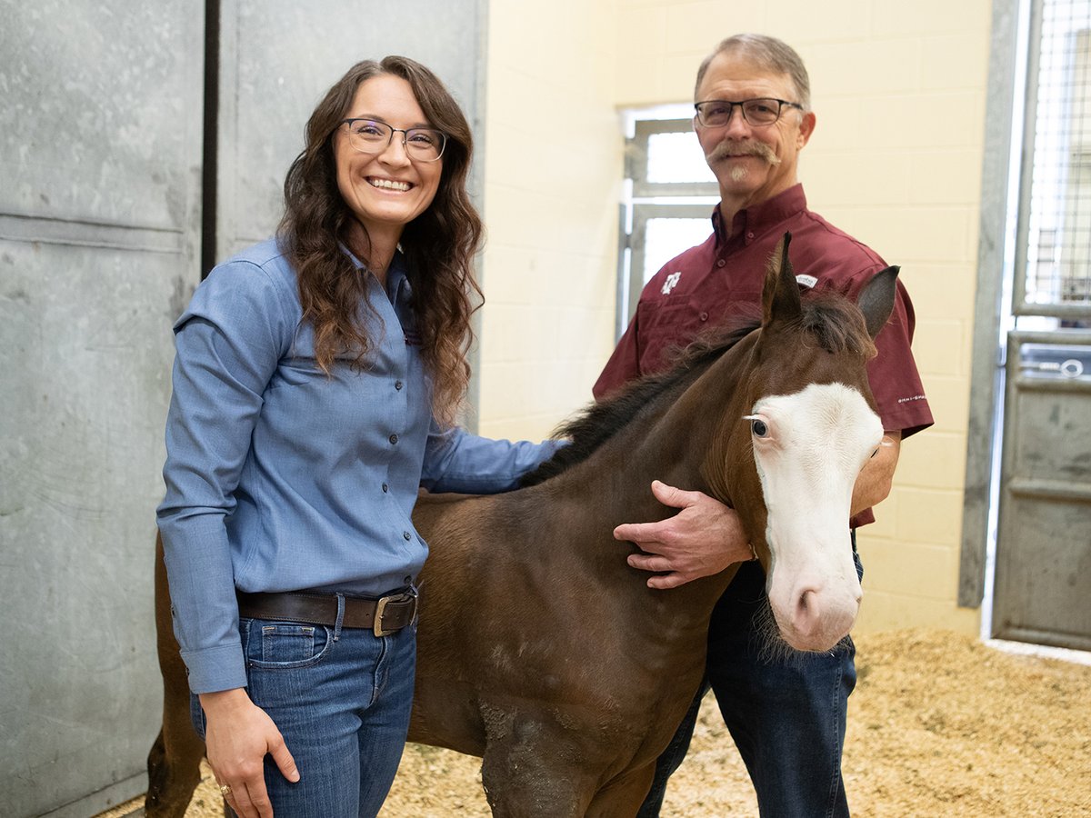 Tweet by Texas A&M VetMed