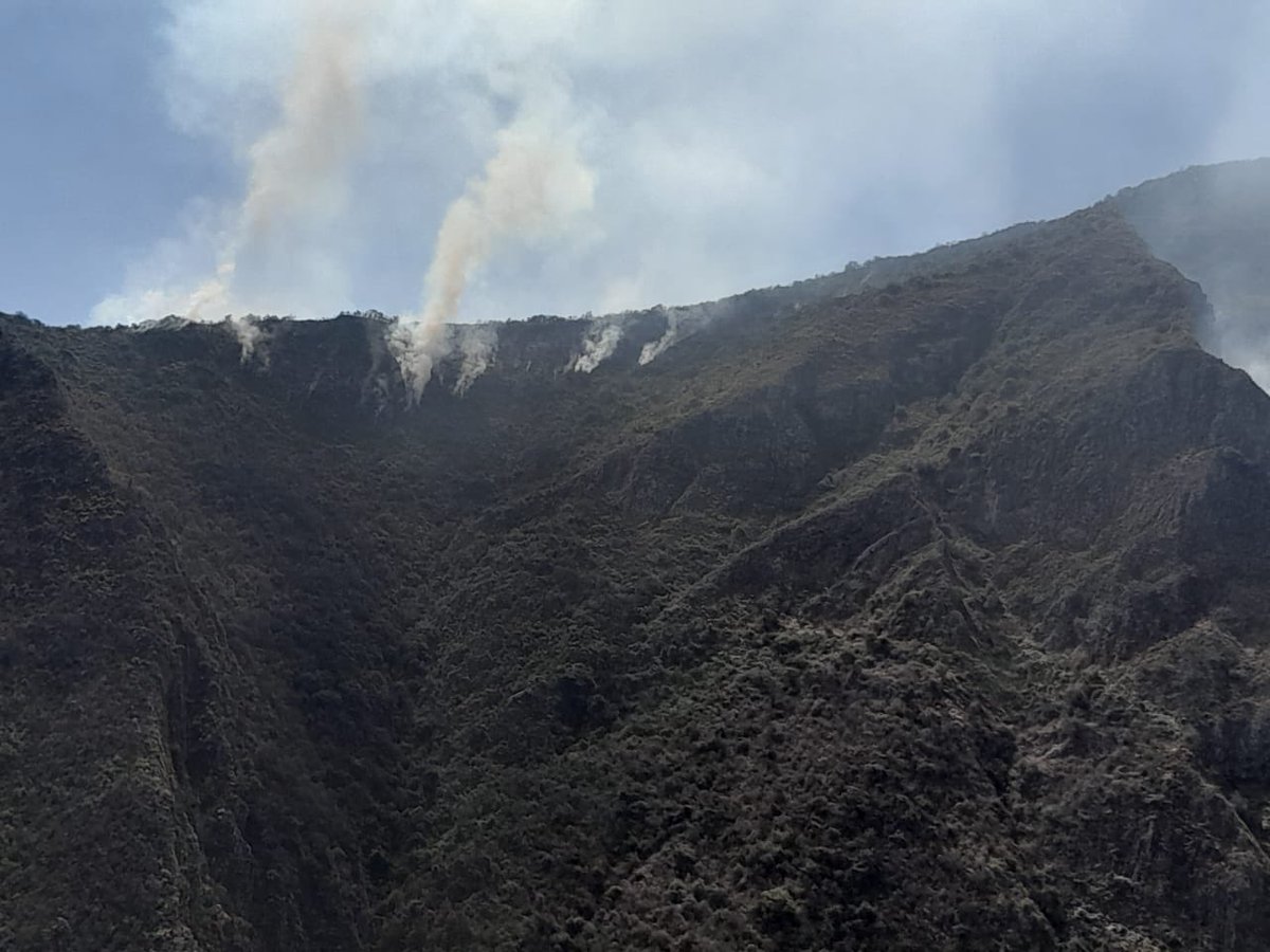 xcalox's tweet photo. #IncendiosForestales Desde hace más de 48 horas. Los #bosque secos entre Cascas (La Libertad) y Contumaza (Cajamarca) 🇵🇪 se están incendiando. En estos bosques vengo participando de proyectos de investigación y conservación con la ong @conservaccionpe https://t.co/JqTNtHhPkB