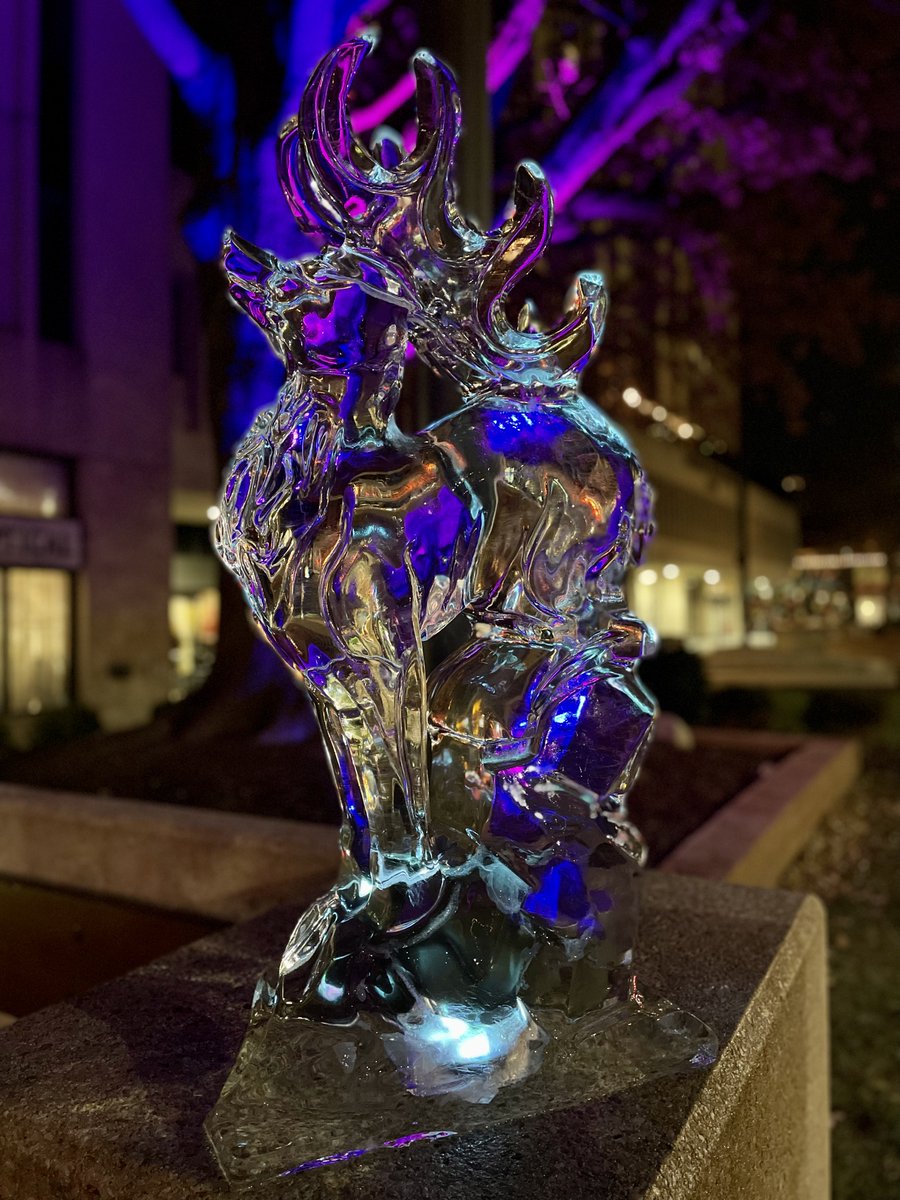 LakewoodAlive tweet media