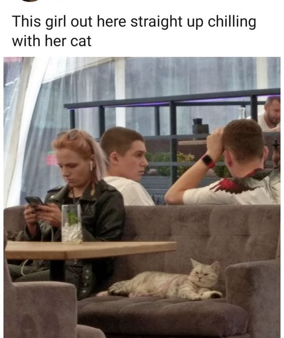 WholesomeMeme's tweet photo. https://t.co/MyJnl4SrJJ