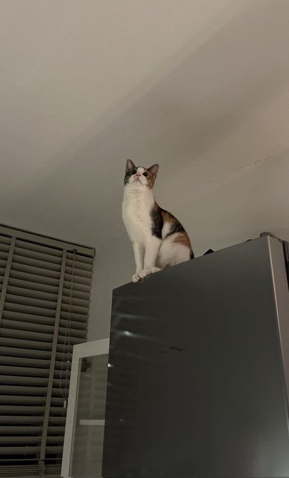 1 pic. ??? https://t.co/EEUN8Dm7sB