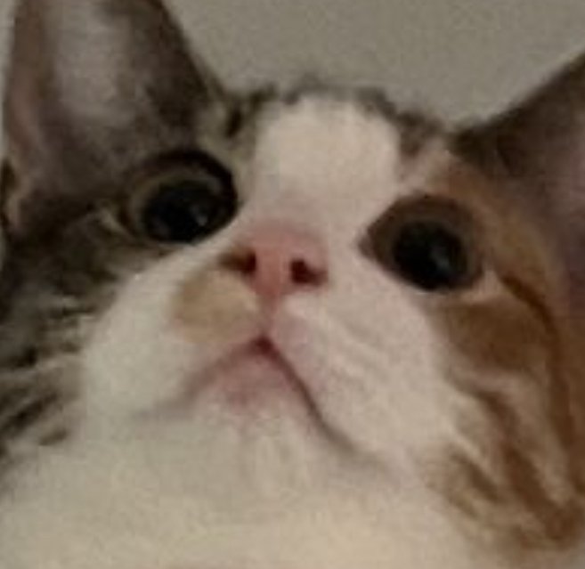 2 pic. ??? https://t.co/EEUN8Dm7sB