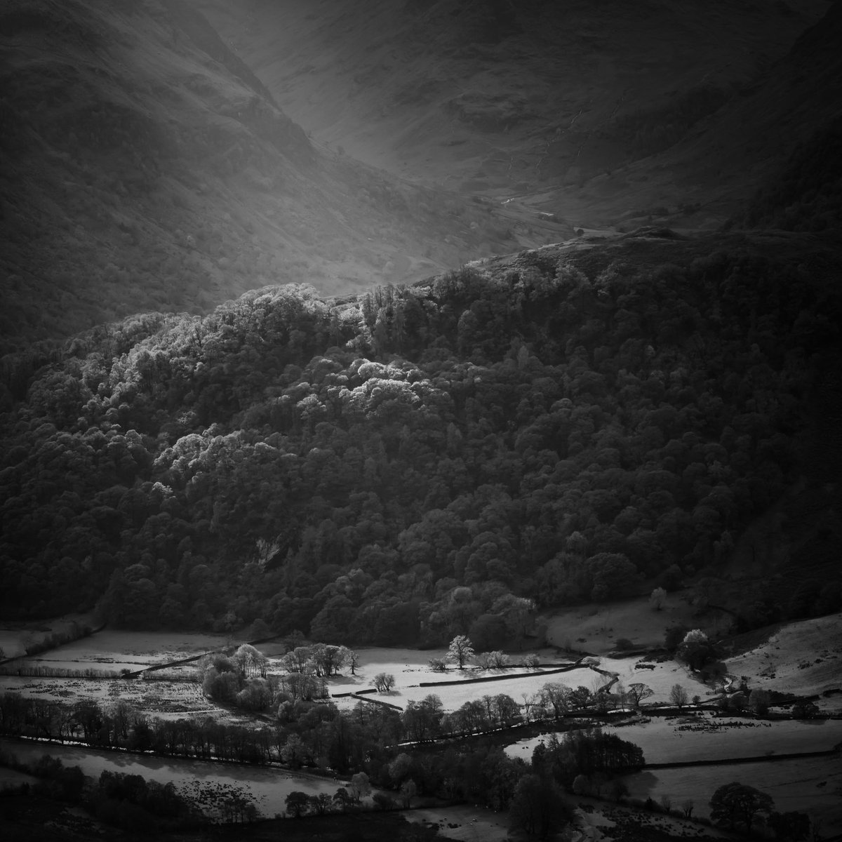 JamieOPhoto tweet media