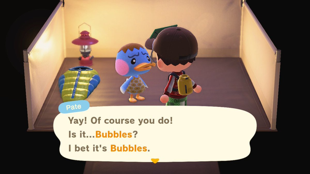 Ellis Ates tweet media