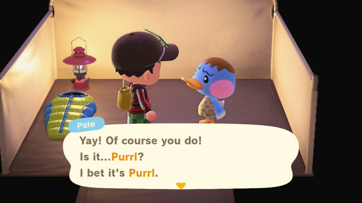 Ellis Ates tweet media