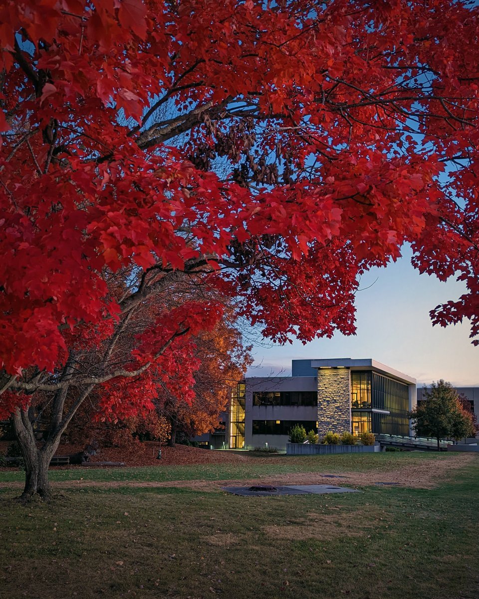Tweet by Virginia-Maryland College of Veterinary Medicine