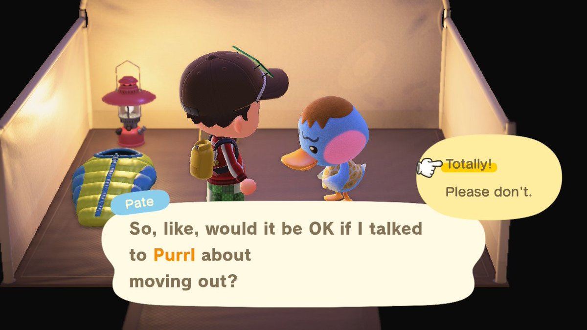 Ellis Ates tweet media