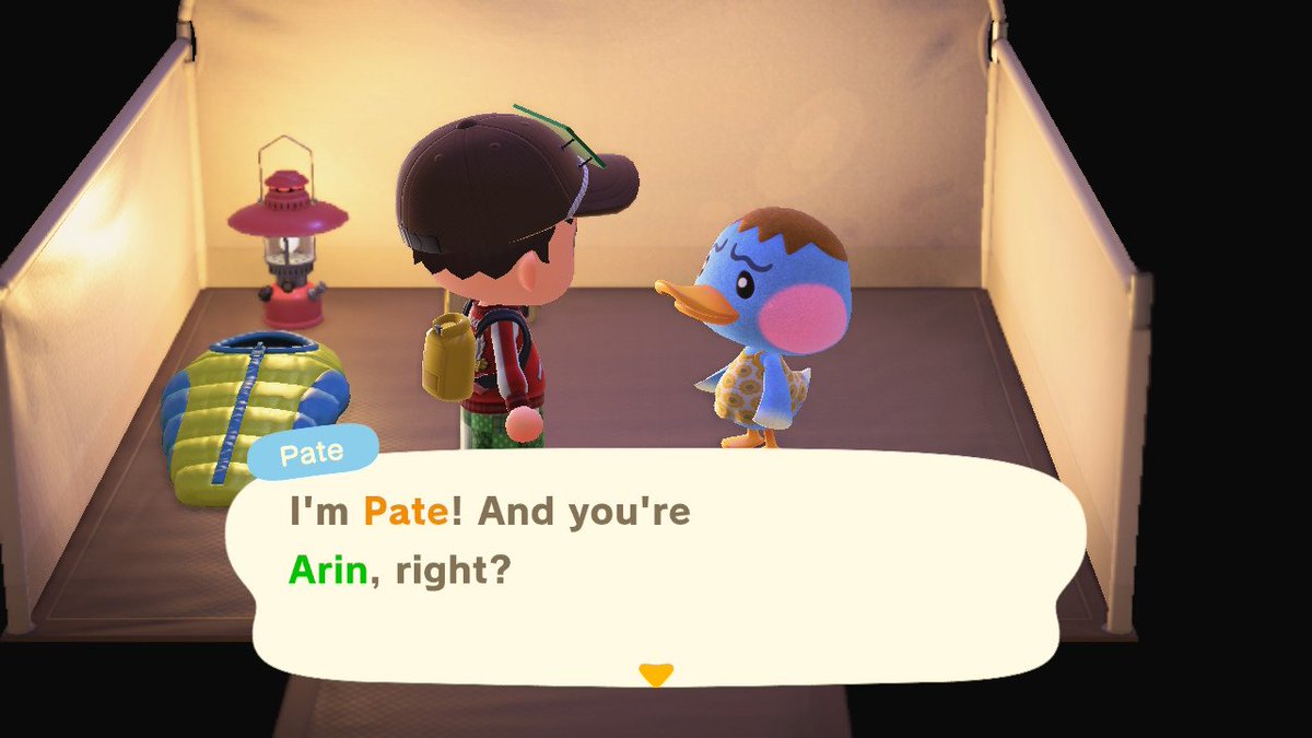 Ellis Ates tweet media