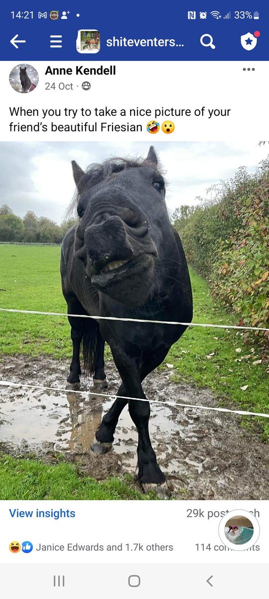 We love horses. They're so majestic.