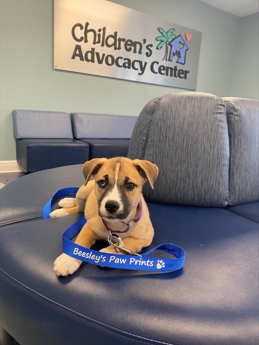 CAC of SWFL tweet media