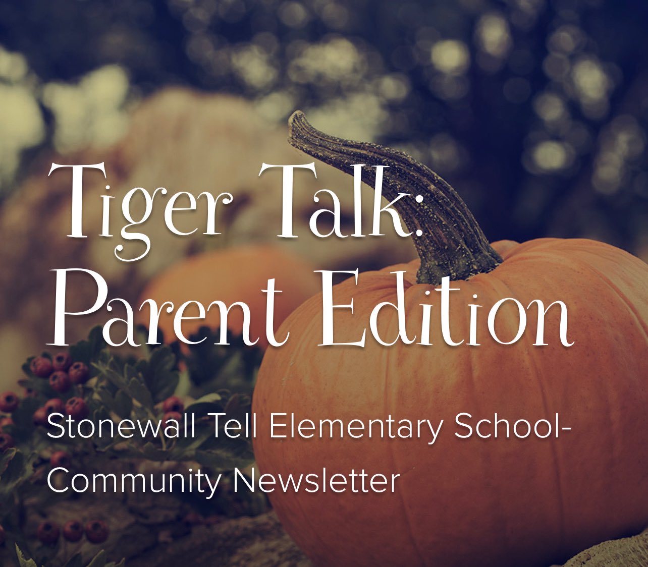 Stonewall Tell ES on Twitter "Visit the Stonewall Tell Es website to