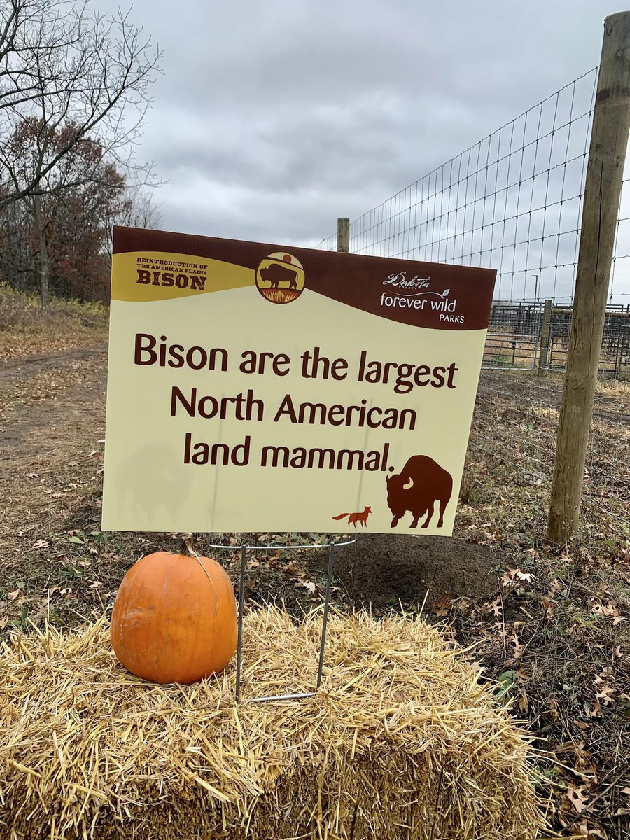 Angie Craig on Twitter "Today, members of my staff were in attendance