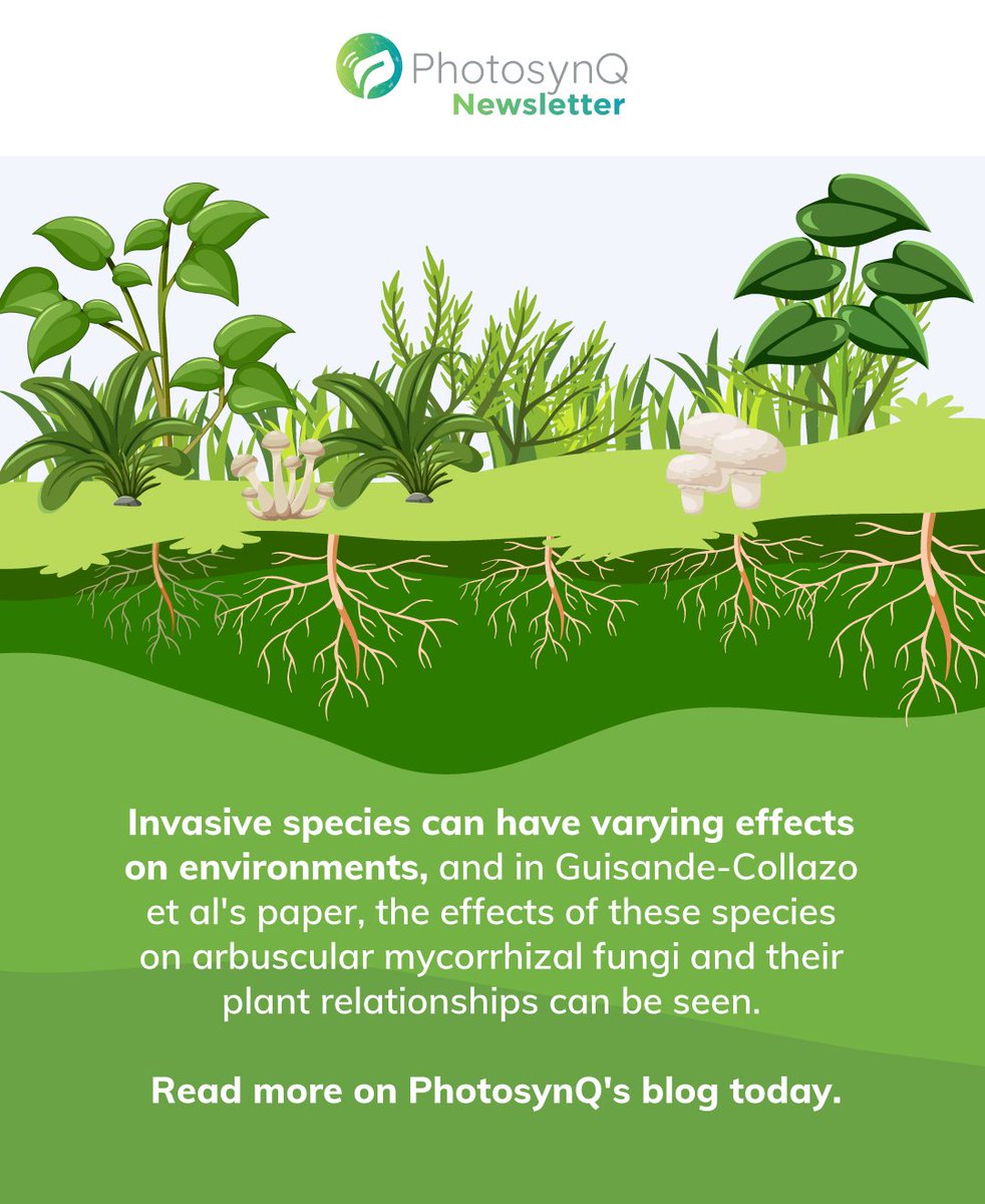 PhotosynQ tweet media