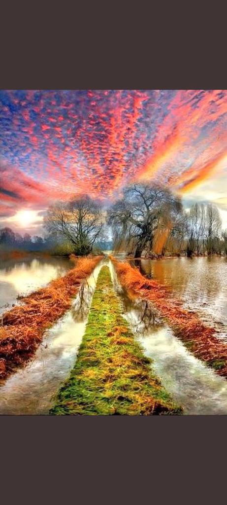 مساء الخريف الجميل والامنيات الطيبة