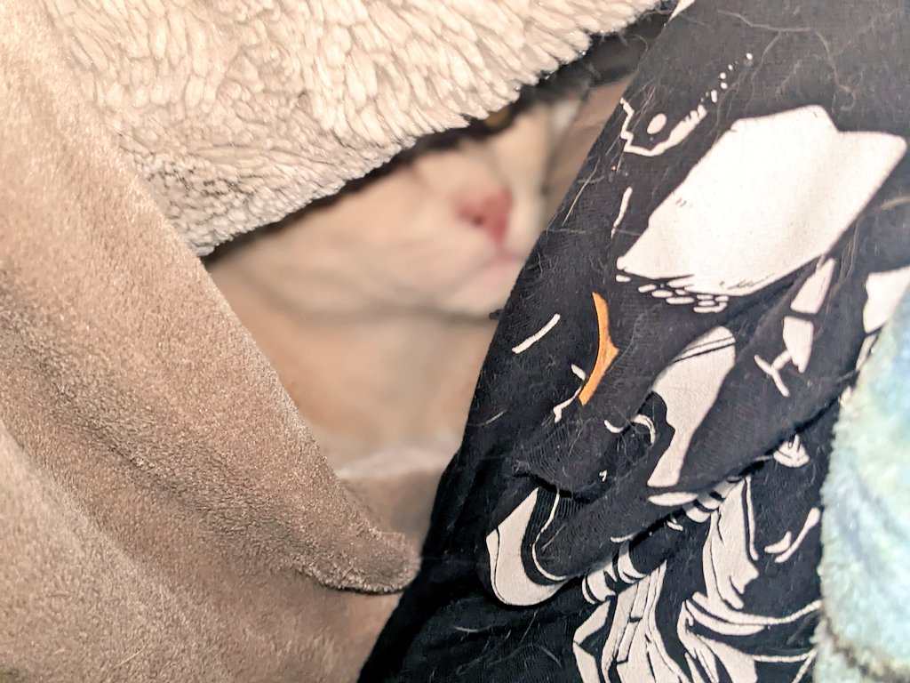 Scary thunderstorms outside! Time to hide!

#cats #thunderstorm #CatsOfTwitter #thunder #Lightning #rain