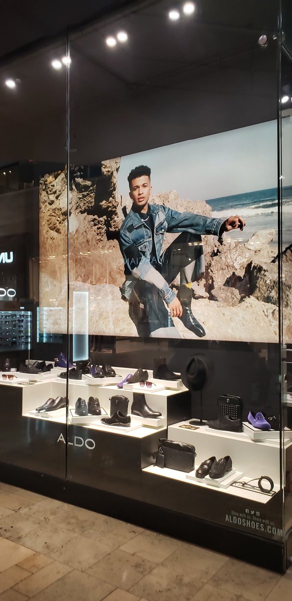 Bash 🍥 セバスチャン tweet media