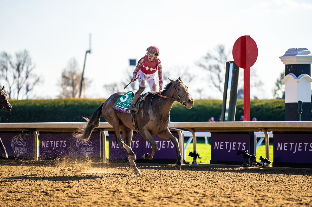 Wonder Wheel – Breeders’ Cup Juvenile Fillies 2022