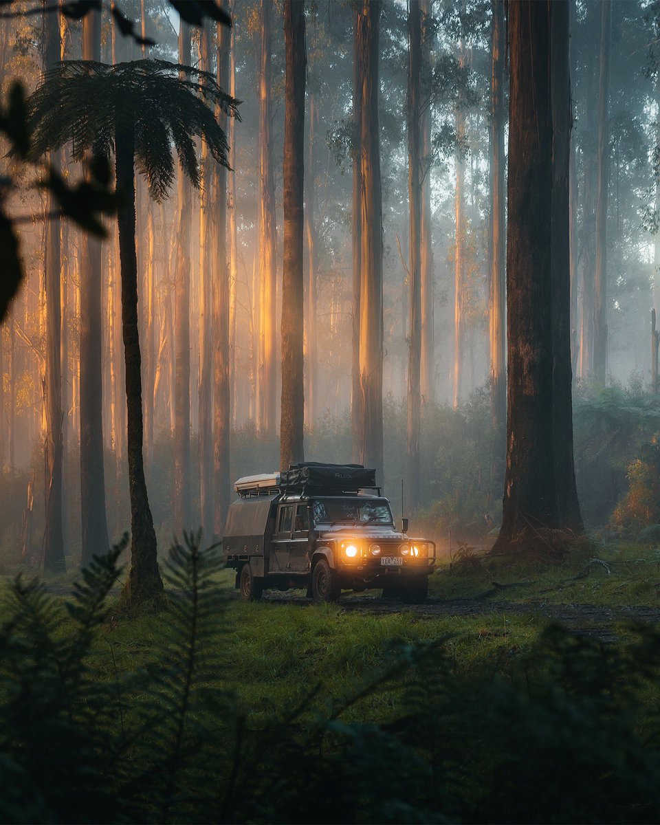 Tom Quan tweet media