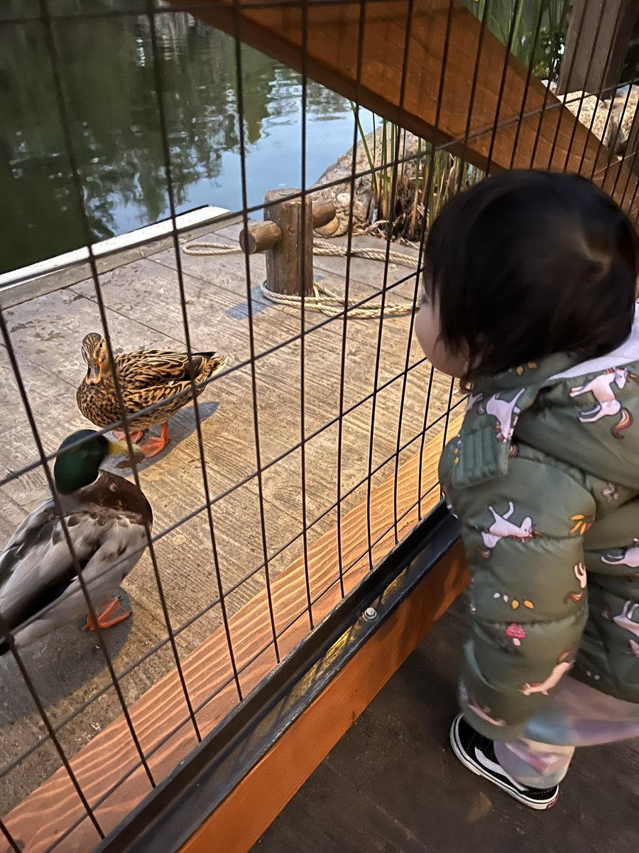 Her first Disney trip