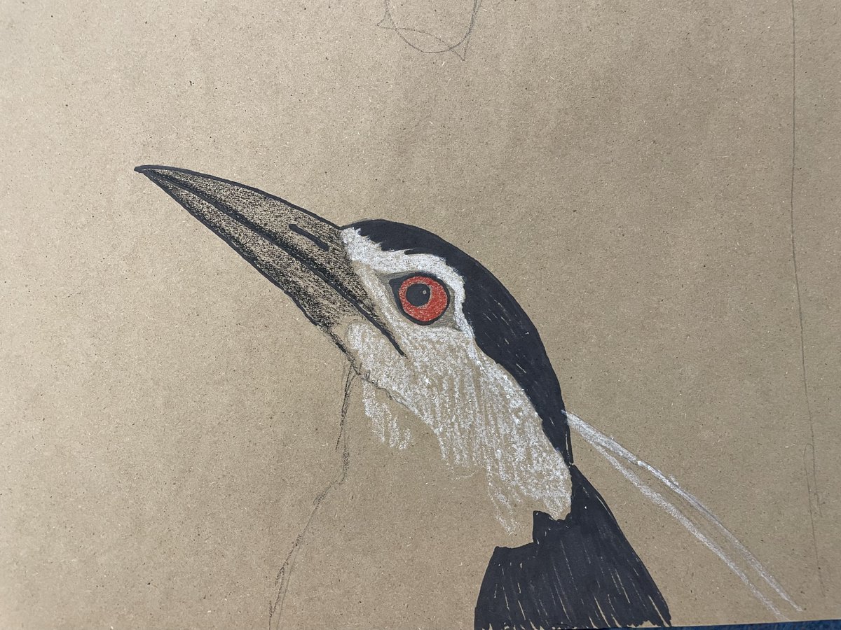 Doin' some more bird art on brown paper.