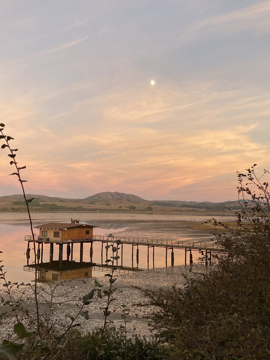 The West Marin Feed tweet media