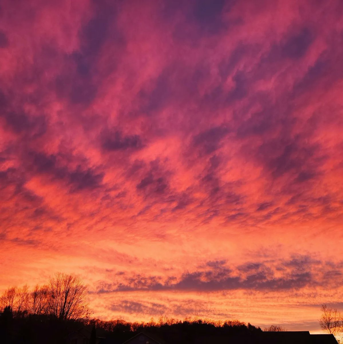 Kensey Schultz tweet media