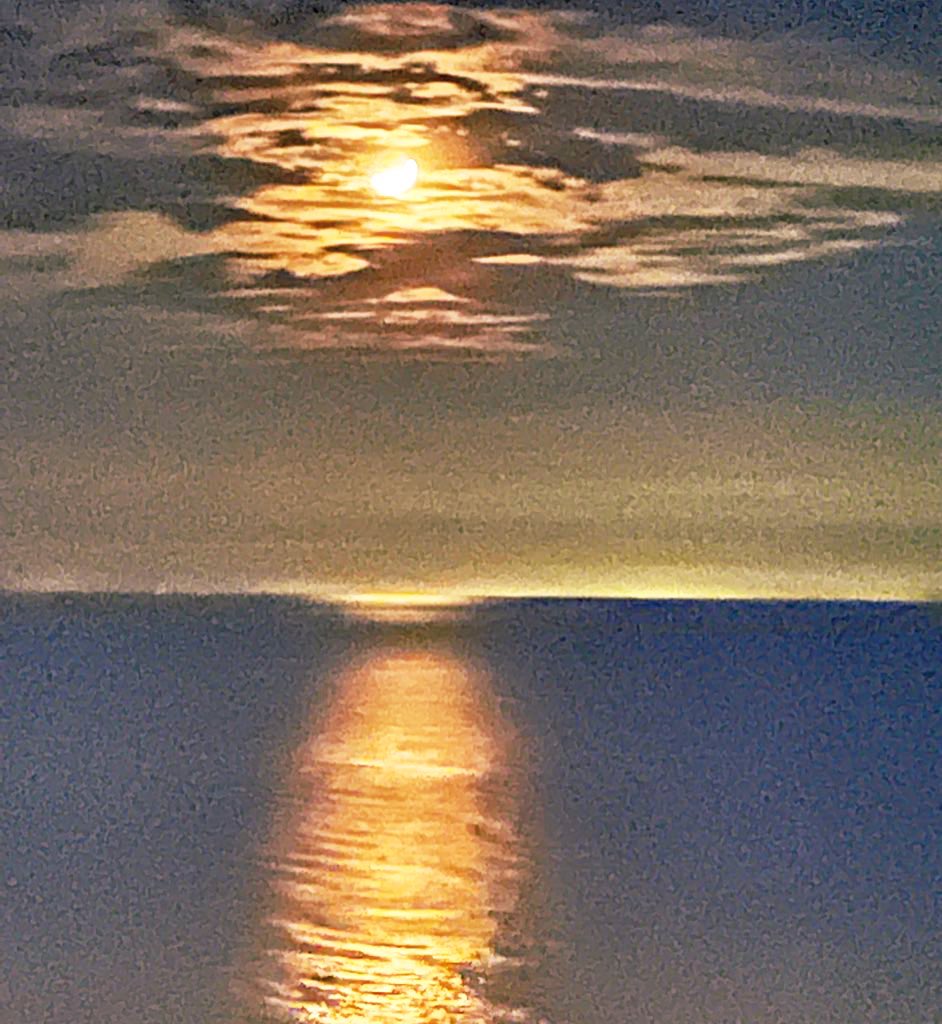 Mamaruza tweet media