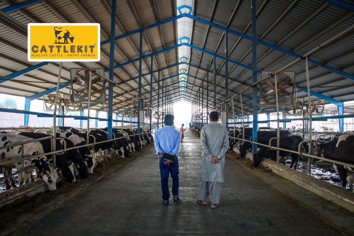CattlekitP's tweet photo. Today CEO of CATTLEKIT. Mr. Sajid Ahmad Bodla visited Nawaz Dairy Farm along with Dr. Muhammad Tariq for the discussion of future extension plan.
#AnythingForFarmer #dairy #Pakistan @DairyPak @pakdairy_planet @pda_pk @DCFAPakistan https://t.co/xOuCaV9LZn